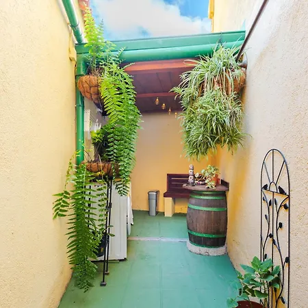 Tatil Evi Casa Petra - Traditional Canary House